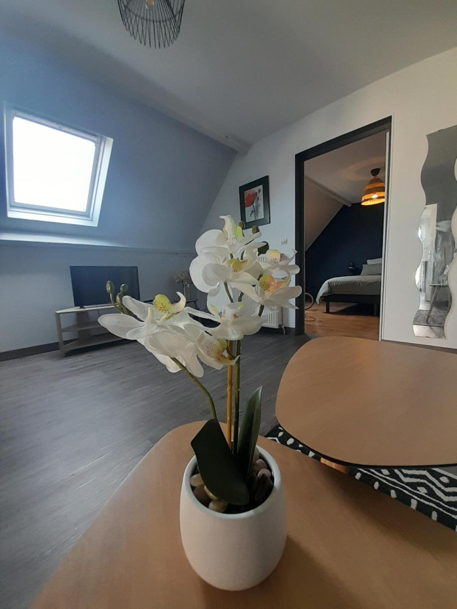 Le Bon Plan Entre Caen Et La Mer ** Draps Et Menage Inclus !** Giberville Exteriér fotografie